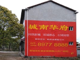 阜阳百分之90的人都不了解的农村墙体广告