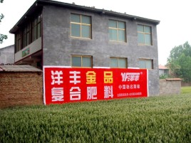 阜阳如何让墙体广告展现最大化效果