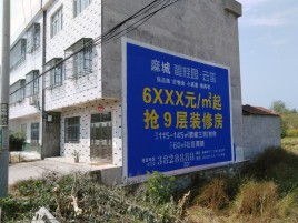 阜阳墙体广告质量分析
