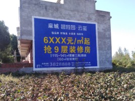 阜阳品牌公司青睐的墙体广告