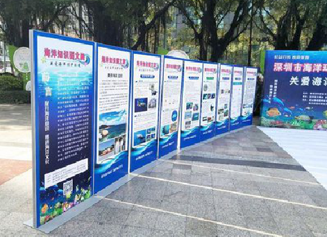 阜阳KT板的种类和知识。